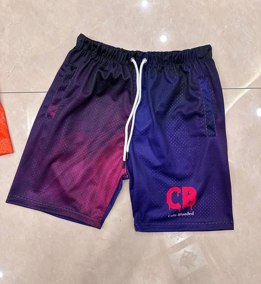 CB Mesh Shorts